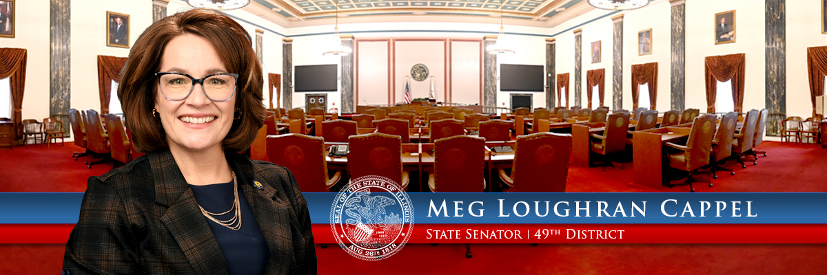 Illinois State Senator Meg Loughran Cappel