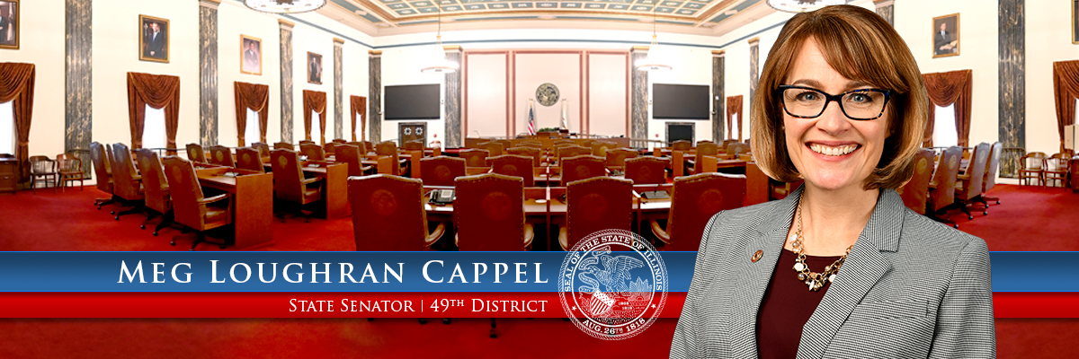 Illinois State Senator Meg Loughran Cappel