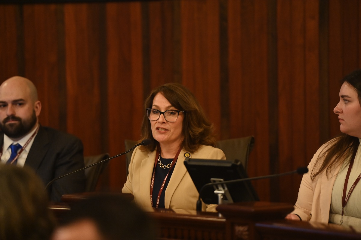 State Senator Meg Loughran Cappel speaks in a committee